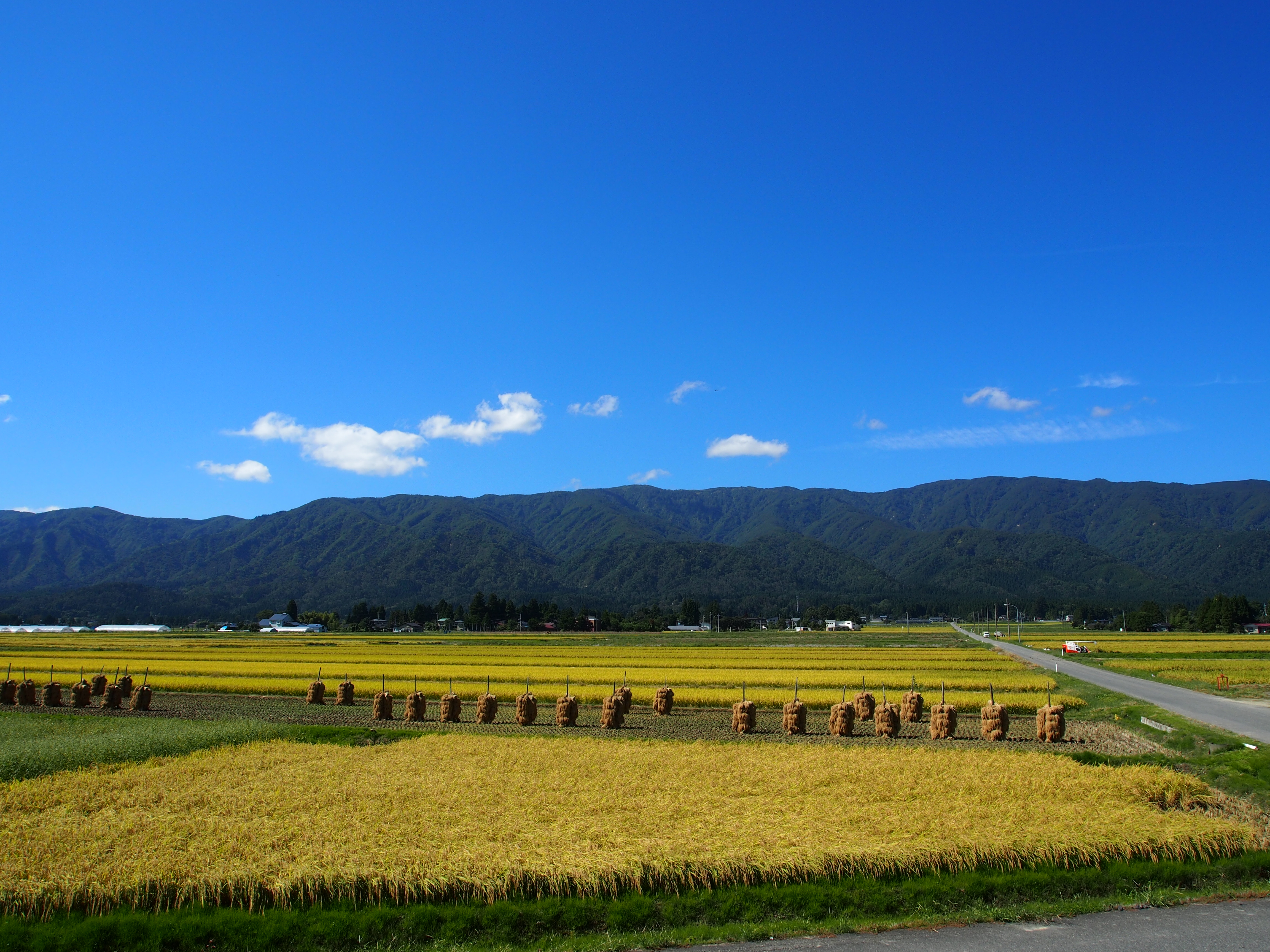 21白兎駅から見るフラワー長井線と西山の眺め