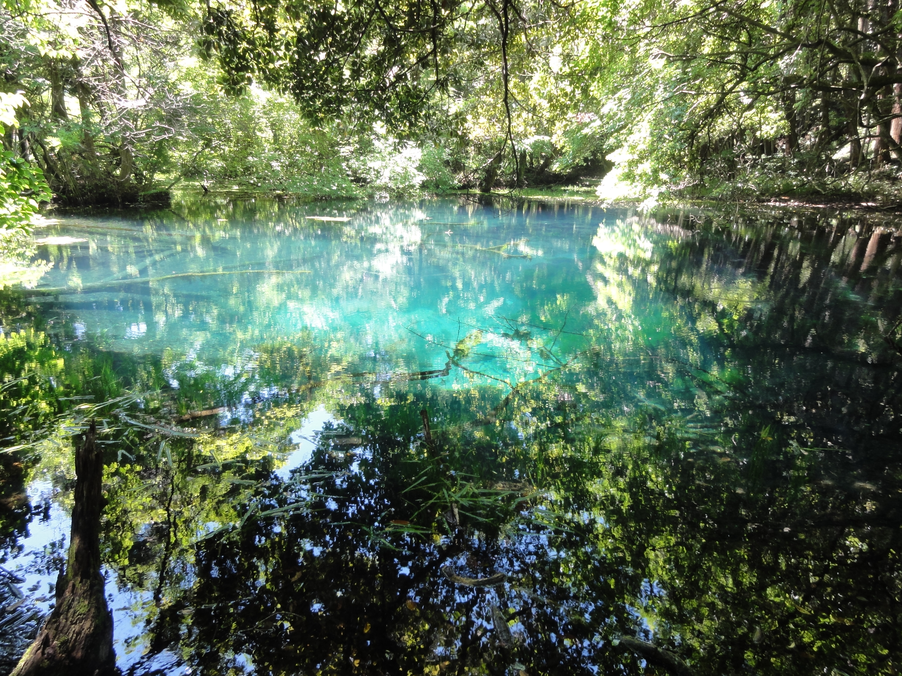 53湧水の芸術　幻想的な水辺の空間「丸池様」