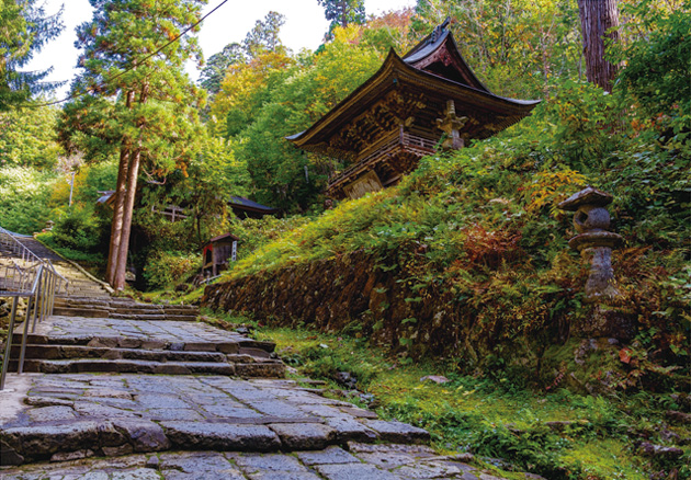 45日本三文殊　亀岡文殊の知恵への参道石畳と杉並木