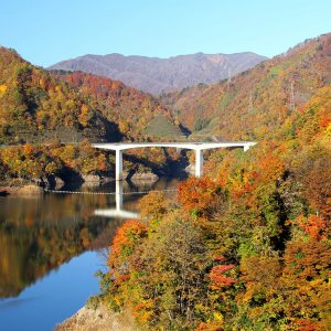 「長井百秋湖」秋の彩り