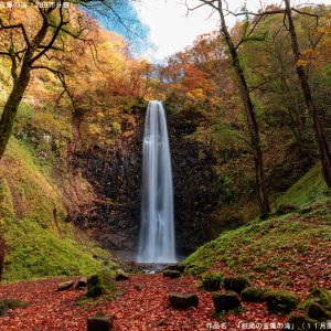 紅葉の玉簾の滝