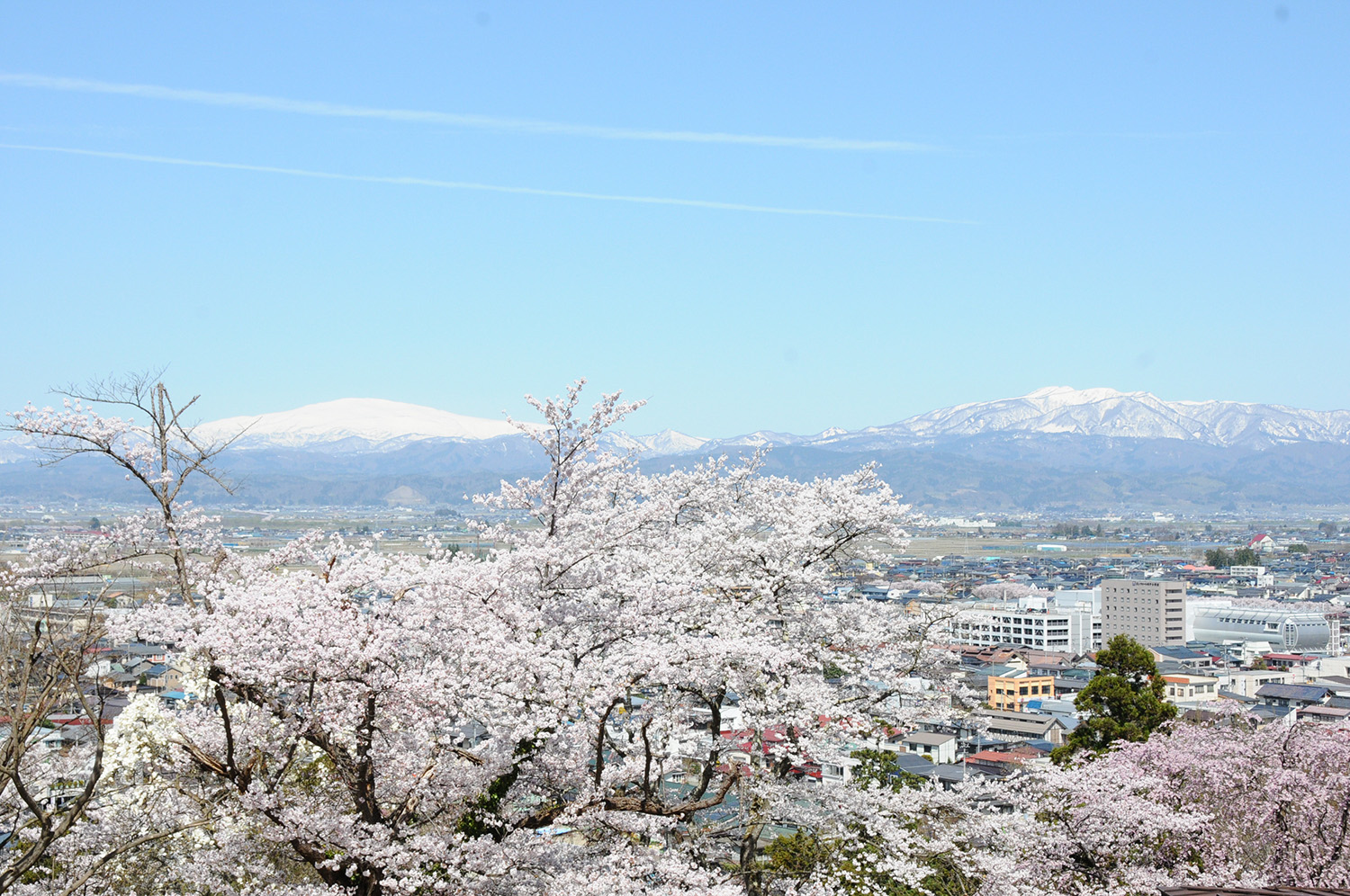 71舞鶴山から見おろす天童のまちなみ | やまがた景観物語