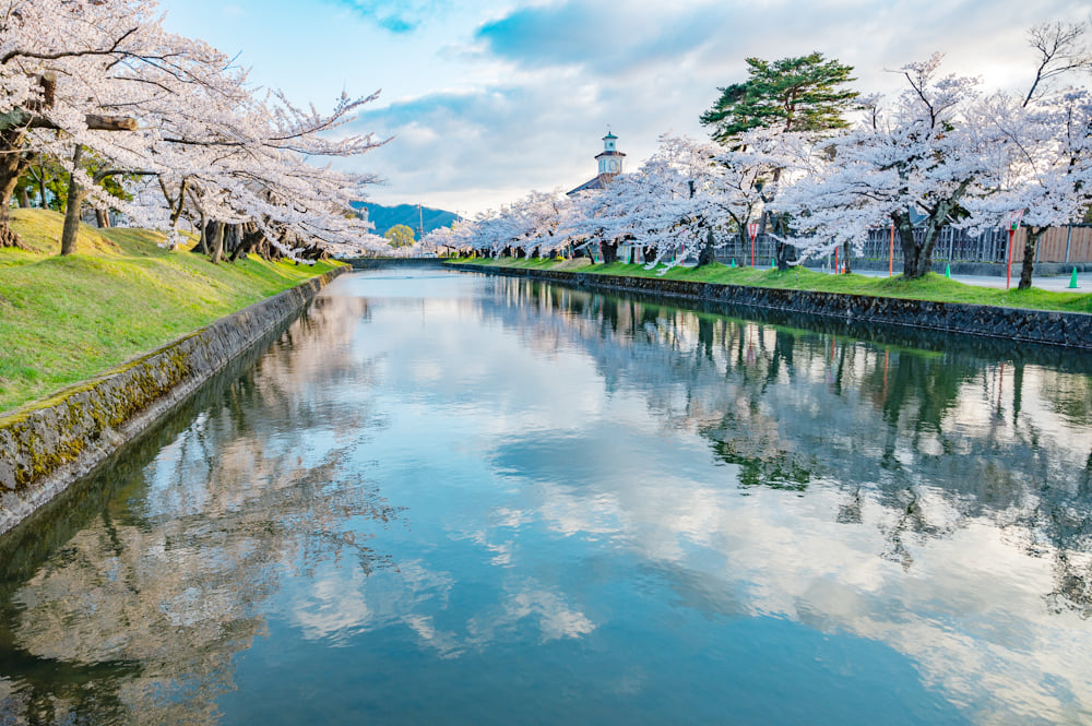90鶴岡公園の桜と致道博物館と金峰山の眺め